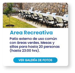 recurso 41
